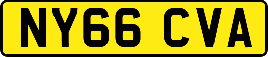NY66CVA