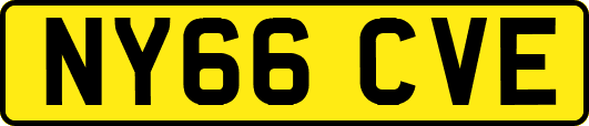 NY66CVE