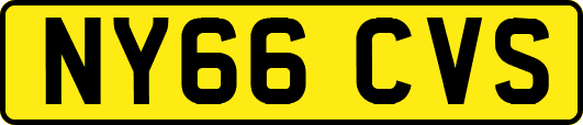 NY66CVS