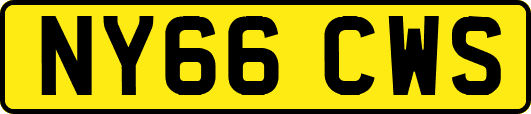NY66CWS
