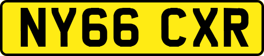 NY66CXR