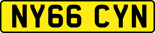 NY66CYN