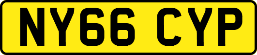 NY66CYP