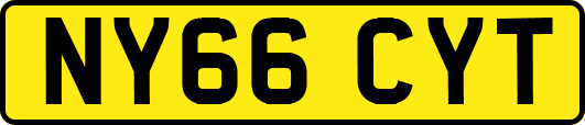 NY66CYT