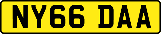 NY66DAA