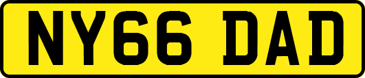 NY66DAD