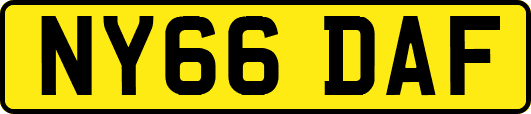 NY66DAF