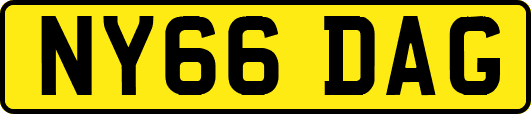 NY66DAG