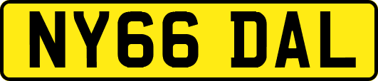 NY66DAL