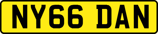 NY66DAN