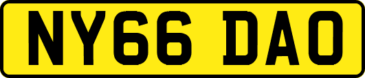 NY66DAO