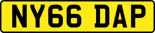 NY66DAP