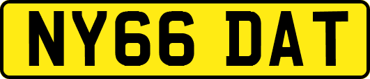 NY66DAT