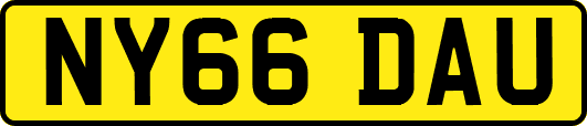 NY66DAU