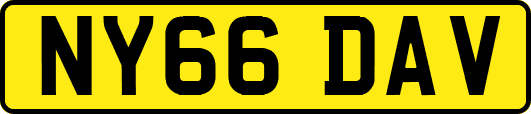 NY66DAV