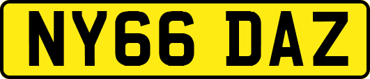 NY66DAZ