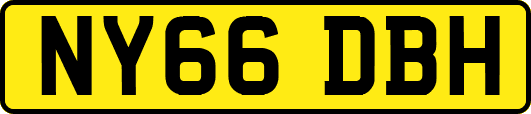 NY66DBH