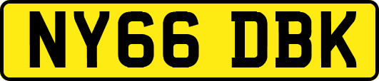 NY66DBK