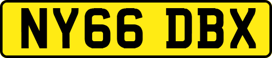 NY66DBX