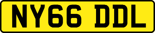 NY66DDL