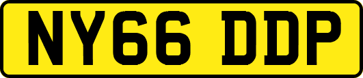 NY66DDP