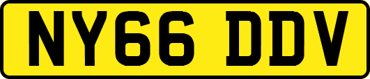 NY66DDV