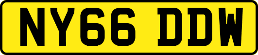 NY66DDW