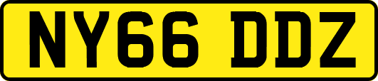 NY66DDZ