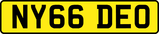 NY66DEO