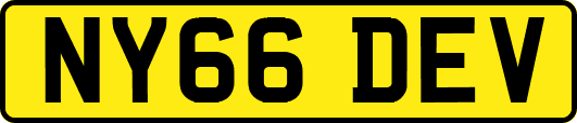 NY66DEV