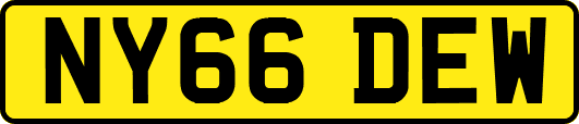 NY66DEW