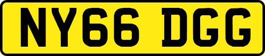 NY66DGG