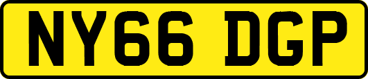 NY66DGP