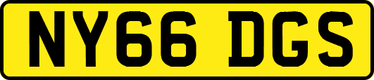 NY66DGS