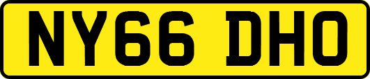 NY66DHO