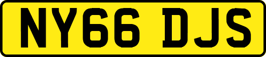 NY66DJS