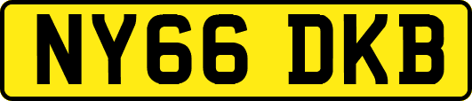 NY66DKB