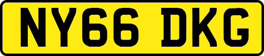 NY66DKG