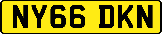 NY66DKN