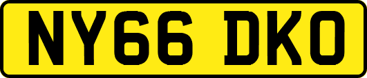 NY66DKO