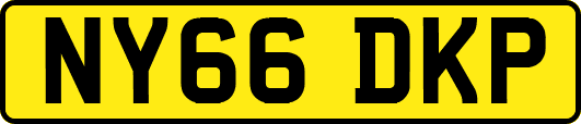 NY66DKP