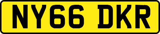 NY66DKR