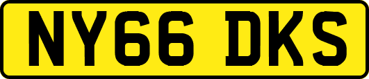 NY66DKS