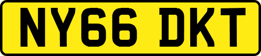 NY66DKT