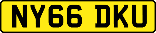 NY66DKU