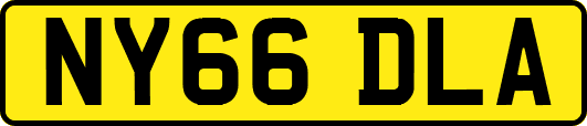 NY66DLA