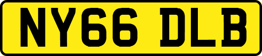 NY66DLB