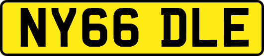 NY66DLE