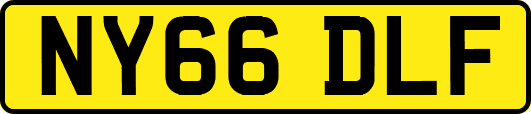 NY66DLF