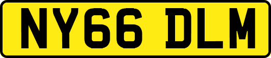 NY66DLM